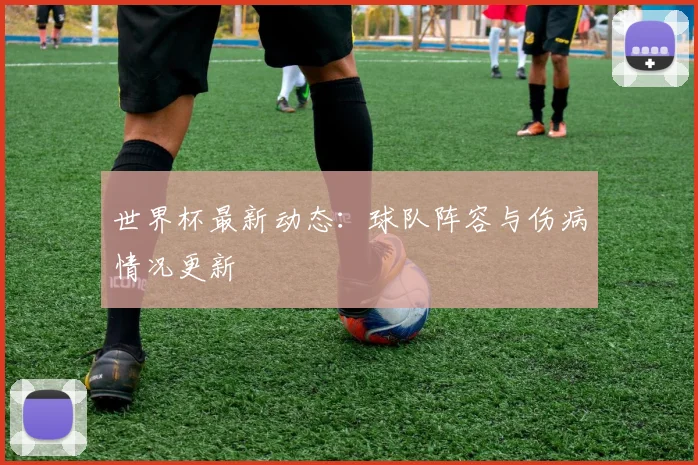 世界杯最新动态：球队阵容与伤病情况更新