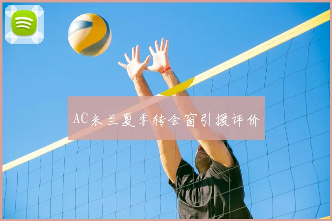 AC米兰夏季转会窗引援评价