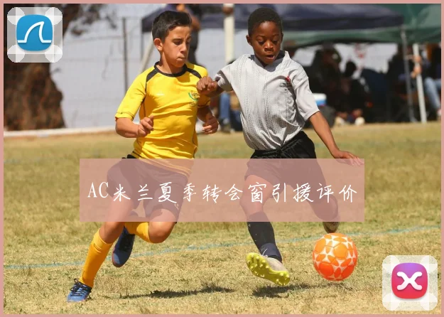 AC米兰夏季转会窗引援评价