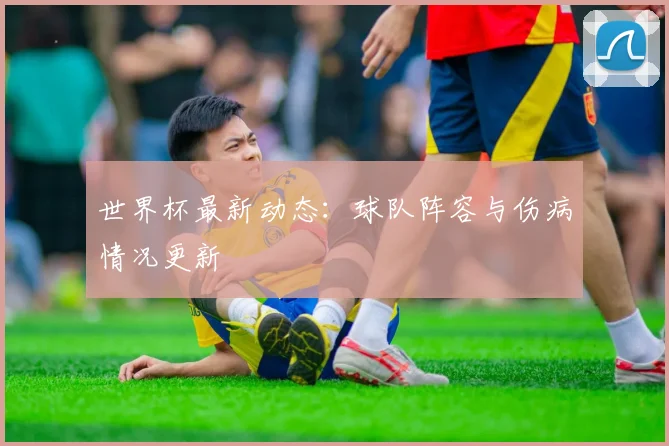 世界杯最新动态：球队阵容与伤病情况更新
